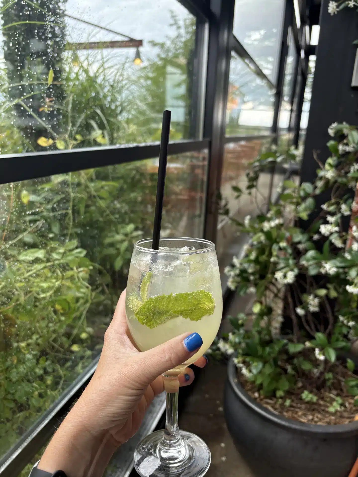 Hugo Spritz at La Terrazza (PC: Melissa Howsam)